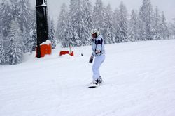 Alta Val Badia (146), Chiara R (43), Sci Alpino (290)